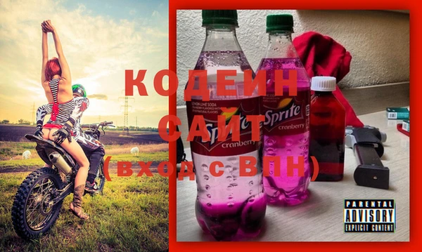 мдпв Бердск