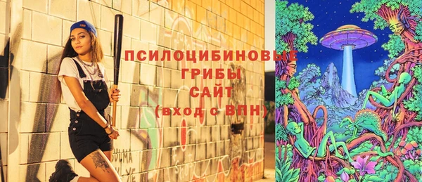скорость Каменка