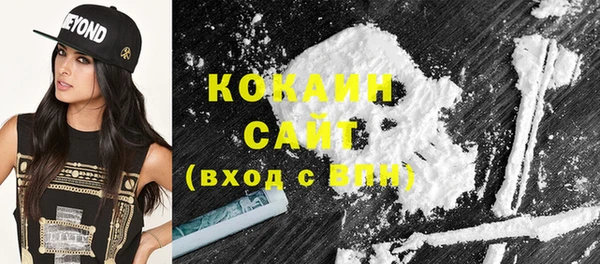 скорость Каменка