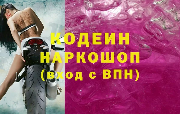 индика Каменск-Шахтинский