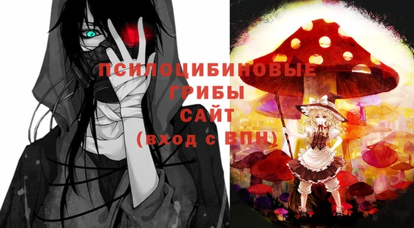 дурь Каменногорск