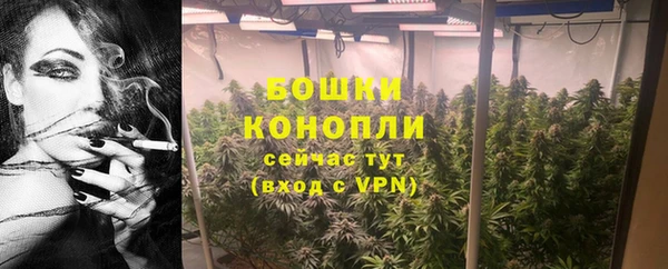 мдпв Бердск