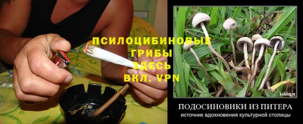 ешки Ачинск