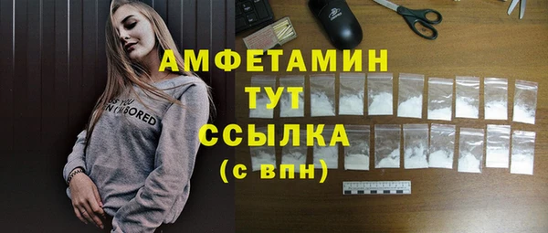 скорость Каменка