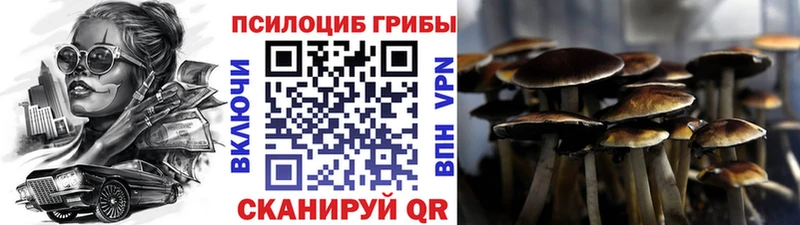 Купить закладки  Долинск  Псилоцибиновые грибы мухоморы 